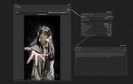 FLUX-InternetCelebrity大模型的更好使用