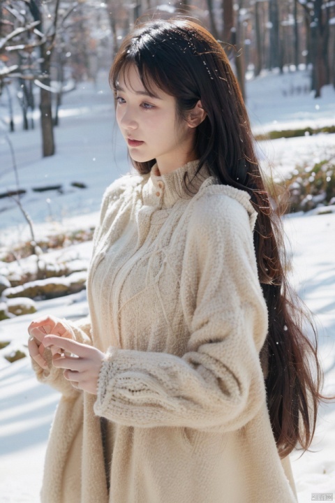 masterpiece, best quality, ultra high res, a beautiful woman in a lace dress in the winter snow, detailed description of the woman and dress, snow-covered environment, romantic and dreamy atmosphere, takei film