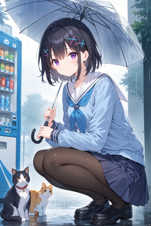  (masterpiece),(best quality),illustration,ultra detailed,hdr,Depth of field,(colorful),1girl,transparent,school uniform,rain,umbrella,cat,hair ornament,pantyhose,squatting,skirt,transparent umbrella,serafuku,holding,short hair,solo,purple eyes,black footwear,white sailor collar,outdoors,loafers,shoes,hairclip,sailor collar,x hair ornament,long sleeves,neckerchief,black hair,pleated skirt,bangs,holding umbrella,blue shirt,animal,shirt,blue serafuku,closed mouth,hair between eyes,black pantyhose,vending machine,blue skirt,black skirt,