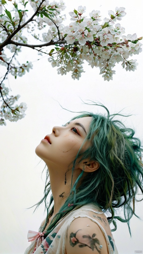(niji style),Cherry blossom tree, cherry blossoms falling, a green-haired girl looking up,art by Carne Griffiths,