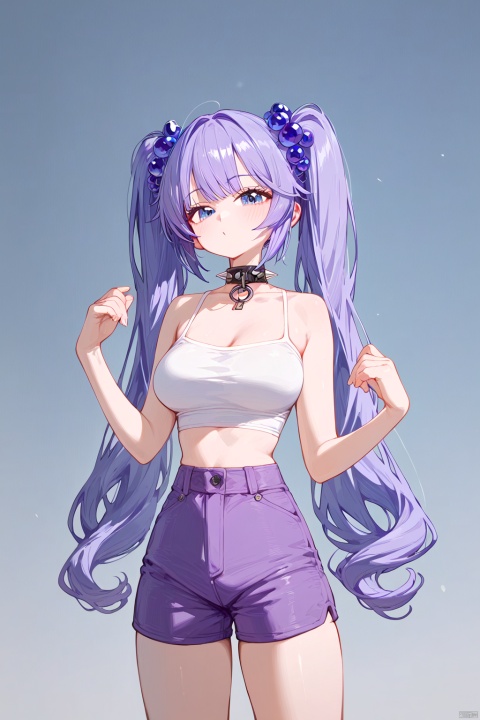 (score_9,score_8_up,score_7_up),style_1,style_2,style_3,style_4, glow,masterpiece,best quality,amazing quality,beautiful detailed,4K,very aesthetic,beautiful color,1girl, twintails, solo, blue eyes, purple hair, grapes hair ornament, white crop top, purple shorts, long hair, bangs, spikes, breasts, spikedcollar,
