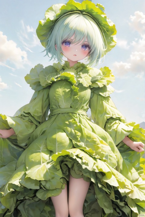  1girl,cabbage_dress