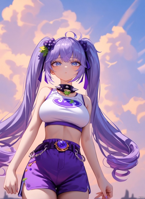 2d,anime,source_anime,highres absurdres,masterpiece,bestquality,higher quality,best quality,blush,  1girl, twintails, solo, blue eyes, purple hair, grapes hair ornament, white crop top, purple shorts, long hair, grapes, bangs, spikes, breasts,spikedcollar,aesthetic,very aesthetic,best quality,hight ,sky,wind,floating flowers,vision