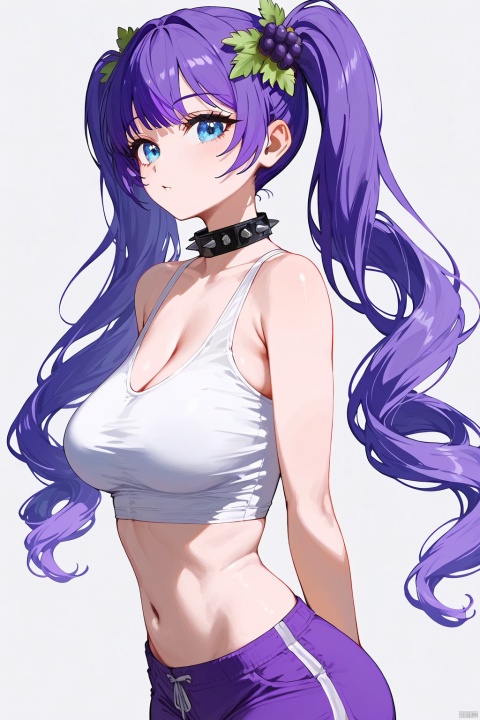 (score_9,score_8_up,score_7_up),style_1,style_2,style_3,style_4, glow,masterpiece,best quality,amazing quality,beautiful detailed,4K,very aesthetic,beautiful color,1girl, twintails, solo, blue eyes, purple hair, grapes hair ornament, white crop top, purple shorts, long hair, bangs, spikes, breasts, spikedcollar,A masterpiece of 4K beauty, captured in stunning detail. A solo subject, a woman with mesmerizing blue eyes and striking purple hair, styled in twintails adorned with grapes hair ornaments. She wears a fitted white crop top and vibrant purple shorts, her long hair flowing down her back with spiky bangs framing her face. A spiked collar accentuates her toned physique, drawing attention to her impressive breasts. The scene is bathed in a warm glow, the colors popping against the neutral background.