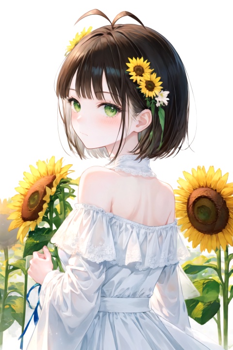 solo, 1girl, kinomoto sakura, aesthetic, white background, simple background, from behind, upper body, looking at viewer, looking back, holding flower, blush, green eyes, short hair, brown hair, antenna hair, bangs, white dress, bare shoulders, off shoulder, sunflower, yellow flower, bouquet
