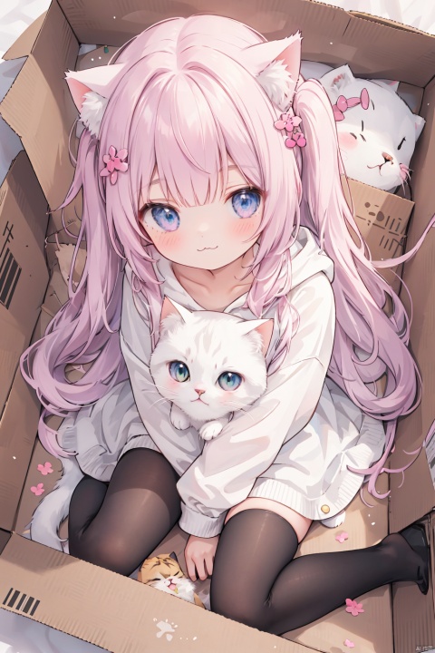  1girl,solo,cat girl,blunt bangs,hair ornament,(:3),long hair,Hoodies_Cat pattern,cat_thighhighs,from above,Sitting in a cardboard box,Cats and cats cuddle in cardboard boxes,