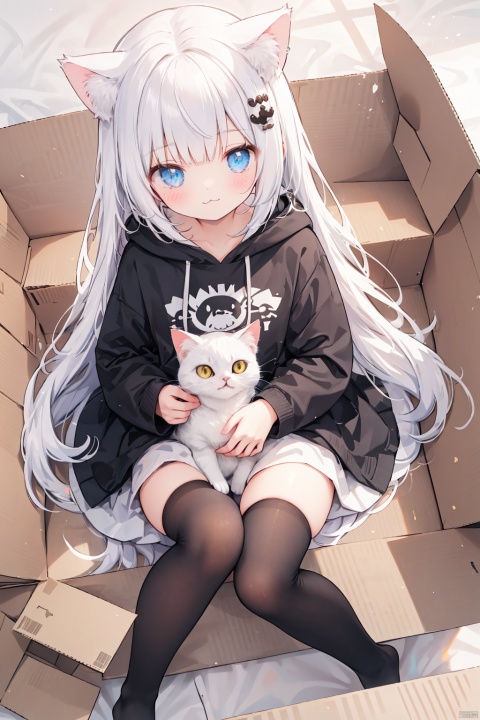  1girl,solo,cat girl,blunt bangs,hair ornament,(:3),long hair,Hoodies_Cat pattern,cat_thighhighs,from above,Sitting in a cardboard box,Cats and cats cuddle in cardboard boxes,