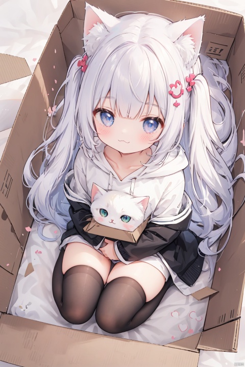  1girl,solo,cat girl,blunt bangs,hair ornament,(:3),long hair,Hoodies_Cat pattern,cat_thighhighs,from above,Sitting in a cardboard box,Cats and cats cuddle in cardboard boxes,