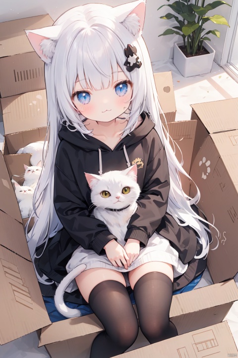  1girl,solo,cat girl,blunt bangs,hair ornament,(:3),long hair,Hoodies_Cat pattern,cat_thighhighs,from above,Sitting in a cardboard box,Cats and cats cuddle in cardboard boxes,