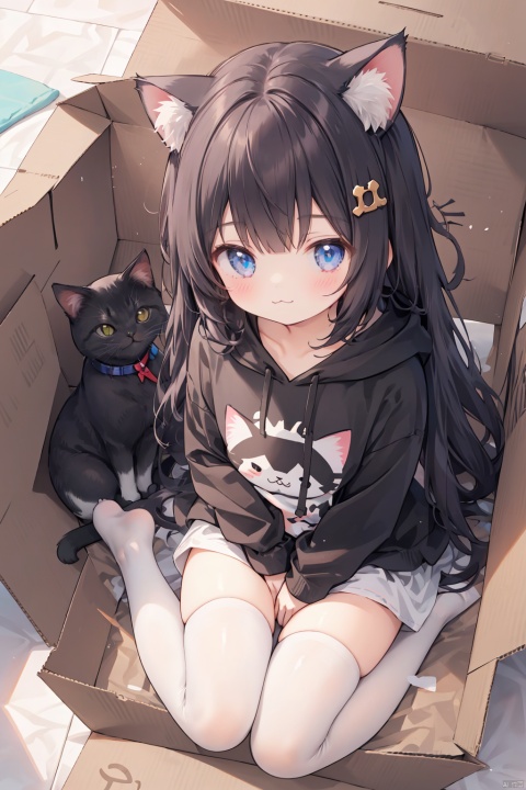  1girl,solo,cat girl,blunt bangs,hair ornament,(:3),long hair,Hoodies_Cat pattern,cat_thighhighs,from above,Sitting in a cardboard box,Cats and cats cuddle in cardboard boxes,