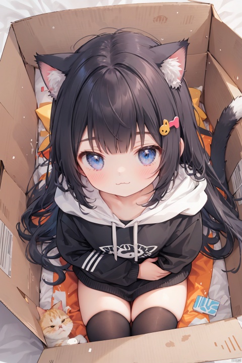  1girl,solo,cat girl,blunt bangs,hair ornament,(:3),long hair,Hoodies_Cat pattern,cat_thighhighs,from above,Sitting in a cardboard box,Cats and cats cuddle in cardboard boxes,