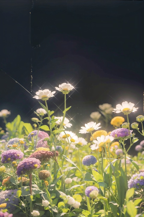  (official art, 8k wallpaper, ultra detailed, High quality, best quality),white flowers ,butterfly,vintage filter,among flowers, backlight,limited_palette,white,field s of flowers, lhj,bright light