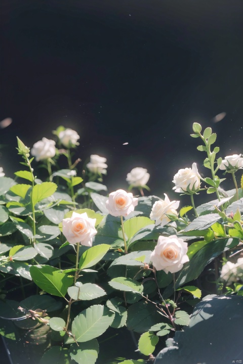  (official art, 8k wallpaper, ultra detailed, High quality, best quality),white flowers ,butterfly,vintage filter,among flowers, rose, colorful rose, backlight,limited_palette,white,field s of flowers, lhj,bright light