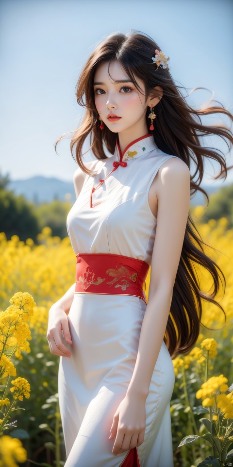  A beautiful woman standing in a blooming rapeseed field, his big eyes like Carslan,wearing a white crane qipao, the skirt fluttering gently. Surrounded by golden rapeseed flowers, with gently rolling hills in the distance, the sky is a deep blue with a few white clouds leisurely drifting by. High-definition photo of the most beautiful artwork in the world featuring a lady in white and red dress standing in a sea of golden rapeseed flowers, smiling, red qipao, nostalgia, sexy, the wind messed up her hair,dramatic oil painting by Ed Blinkey, Atey Ghailan, Studio Ghibli, by Jeremy Mann, Greg Manchess, Antonio Moro, trending on ArtStation, trending on CGSociety, Intricate, High Detail, Sharp focus, photorealistic painting art by midjourney and greg rutkowski. , Light master 4k