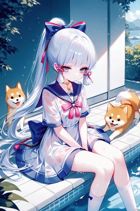  [iumu],[Sheya],[Artist chen bin],  masterpiece,best quality,high quality,loli, shiba inu, kamisato ayaka, 1girl, solo, long hair, bangs, white_hair,dress, bow, sitting, ponytail, short sleeves, hair bow, outdoors,no shoes, day, socks, sailor collar, water, white dress, white socks,  sailor dress, Sitting by the swimming pool,hands between legs,wet dress,wet clothes,wet, see-through,