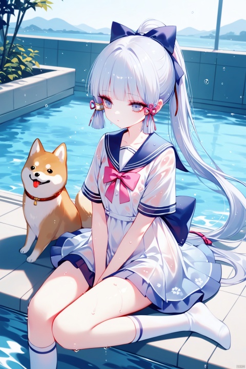  [iumu],[Sheya],[Artist chen bin],  masterpiece,best quality,high quality,loli, shiba inu, kamisato ayaka, 1girl, solo, long hair, bangs, white_hair,dress, bow, sitting, ponytail, short sleeves, hair bow, outdoors,no shoes, day, socks, sailor collar, water, white dress, white socks,  sailor dress, Sitting by the swimming pool,hands between legs,wet dress,wet clothes,wet, see-through,