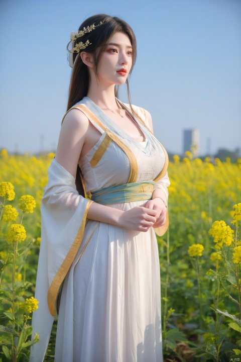  Enhanced, masterpiece, 16K, girl, Solo, Flower Field, rape flower, (\meng ze\), yue , hair ornament , hanfu,(big breasts:1.33)