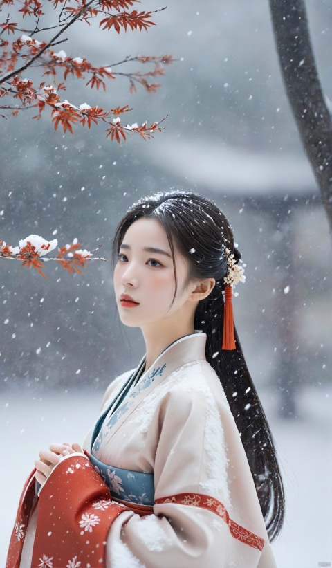 arien_hanfu,1girl,half,(Masterpiece:1.2), best quality, arien_hanfu, 1girl, (falling_snow:1.3), looking_at_viewer,(big breasts:1.5), hand101, MAJICMIX STYLE