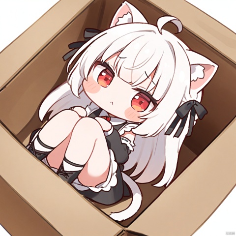  1girl, loli,solo,white hair,long hair,bangs,red eyes,maid,cat ears,

:<, ahoge, in_container, in_box, tail, solo, chibi, box, looking_at_viewer, virtual_youtuber, frown,