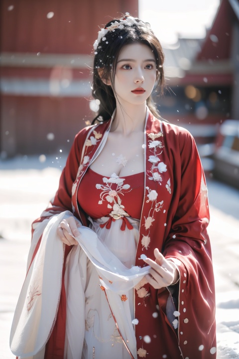  arien_hanfu,1girl,large breasts,temptation,huge Breast,large breasts,Breast crevices, best ratio four fingers and one thumb,half,(Masterpiece:1.2), best quality, arien_hanfu, 1girl, (falling_snow:1.3), looking_at_viewer, , (big breasts:1.5), hand101