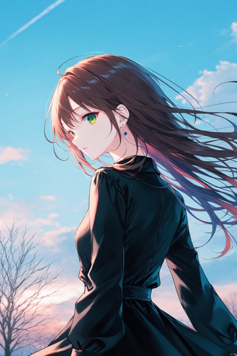  masterpiece,best quality,high quality,(colorful),[Artist miwano rag],[Artist toosaka asagi],[[[Artist wlop]]],[Artist chen bin],Artist hiten (hitenkei), 1girl, solo, long hair, outdoors, looking at viewer, bare tree, looking back, earrings, long sleeves, brown hair, sky, jewelry, blurry, tree, parted lips, floating hair, cloud, dress, day, depth of field, blurry foreground, from behind, black dress, green eyes, upper body