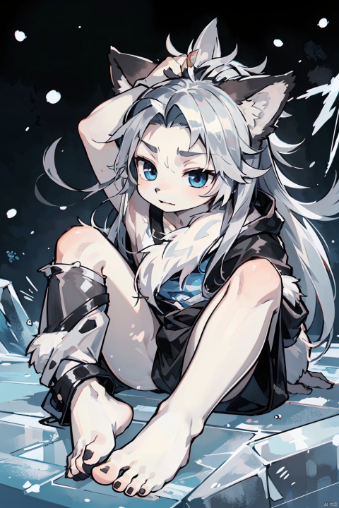  anime,8K,(only one little boy:1.25),[furry:0.3],juvenile,(ten years old:1.2)(silver long hair:1.25),bare foot,blue ice eyes,((poakl)),Wolf ears on the head