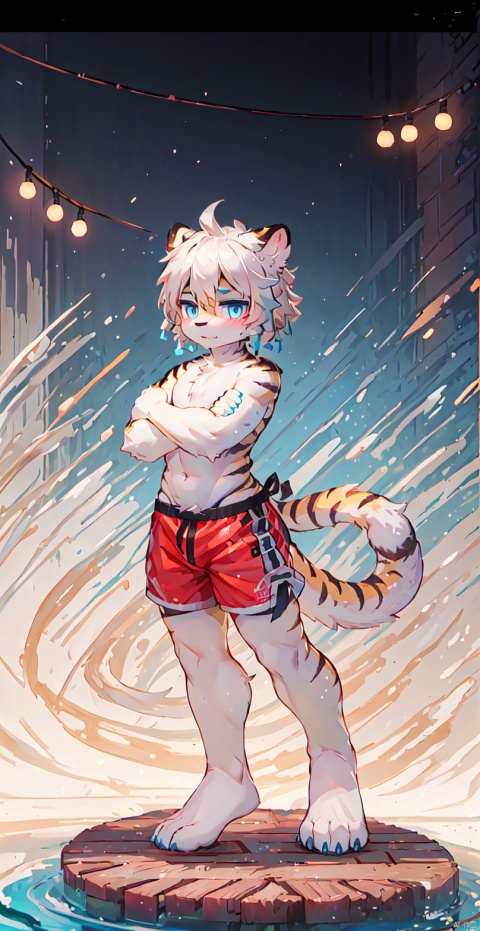  Bestquality,8k,(((masterpiece))),((bestquality)),
 (full_body:1.2),solo,
 White tiger,Swimming trunks,White animal hair, Delicate blue eyes,furry, bichu, shota, HYZ, killer,pvc figure, , (\shen ming shao nv\)