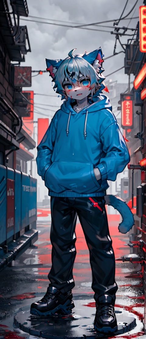 character name,1boy,solo,
Shadow face, blackened face,cyberpunk theme,e style thriller,
(Blue Hoodie:1.2),(whiter hair:1.5),(cat's ear:1.2),expressionless,
(masterpiece:1.1), (best quality:1.2), highres, original, extremely detailed wallpaper, official art, shota,rain,water,blood like river, heibai, red background, furry, killer,pvc figure