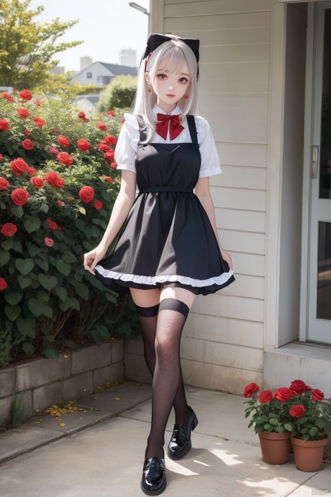  1girl,office lady,dress, thighhighs, walking, long white hair, flower, rose, black footwear, bow, red bow, earrings, bangs, the upper body, looking at viewer, outdoors, red eyes, red flower, long hair, vase, frills, white rose, full body, apron, plant, puffy short sleeves, lace-trimmed legwear,over-kneehighs, fishnet,sunlight