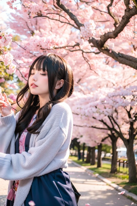  cherry blossom tree, petals falling,1girl,