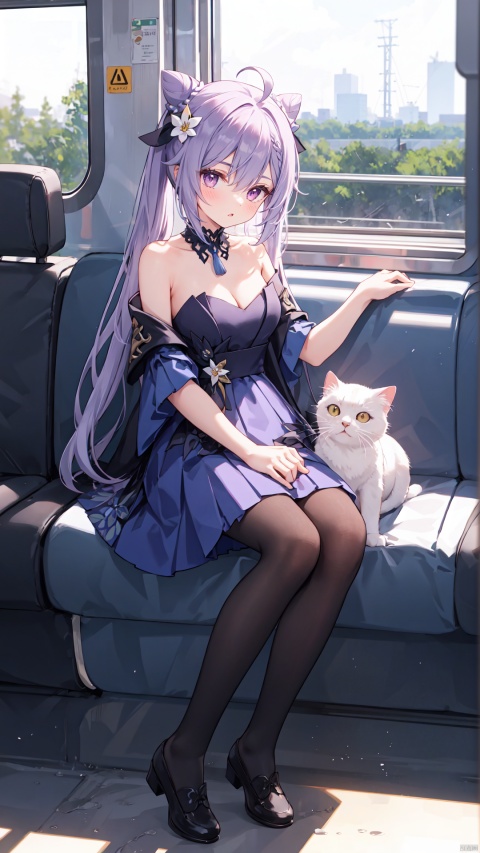  best quality,loli,(1girl,solo),long hair,( hair ribbon:0.8), hanfu dress,sundress,(sitting,looking out of window),((on the train, train windows,indoors)),trees,plain,clouds,(from side,full body,wide shot, mid shot), white pantyhose,(ahoge),((slit pupils)), keqingdef, ru_qun,1girl, cat, keqing (genshin impact), pantyhose, sitting, train interior, black pantyhose, long hair, ahoge, cone hair bun, hair bun, purple hair, twintails, shoes, black footwear, bare shoulders, hair ornament, bangs, solo, purple eyes, dress, full body, off shoulder, long sleeves, breasts, animal, double bun, purple dress, blush, choker, flower, hair between eyes, day, hair flower, white cat, parted lips, strapless dress, animal on lap, strapless, cleavage, skirt, looking at viewer, on lap, sidelocks, very long hair