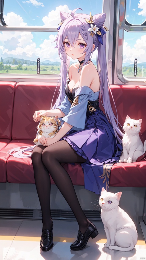  best quality,loli,(1girl,solo),long hair,( hair ribbon:0.8), hanfu dress,sundress,(sitting,looking out of window),((on the train, train windows,indoors)),trees,plain,clouds,(from side,full body,wide shot, mid shot), white pantyhose,(ahoge),((slit pupils)), keqingdef, ru_qun,1girl, cat, keqing (genshin impact), pantyhose, sitting, train interior, black pantyhose, long hair, ahoge, cone hair bun, hair bun, purple hair, twintails, shoes, black footwear, bare shoulders, hair ornament, bangs, solo, purple eyes, dress, full body, off shoulder, long sleeves, breasts, animal, double bun, purple dress, blush, choker, flower, hair between eyes, day, hair flower, white cat, parted lips, strapless dress, animal on lap, strapless, cleavage, skirt, looking at viewer, on lap, sidelocks, very long hair