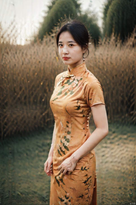 (global illumination, reality,ray tracing, HDR, unreal rendering, reasonable design, high detail, masterpiece,best quality, ultra high definition, movie lighting),
1girl,outdoor,looking_at_viewer,side_blunt_bangs,china_dress,chinese_style,big breasts,pose,solo,1girl,black hair,black eyes,cheongsam.spring festival