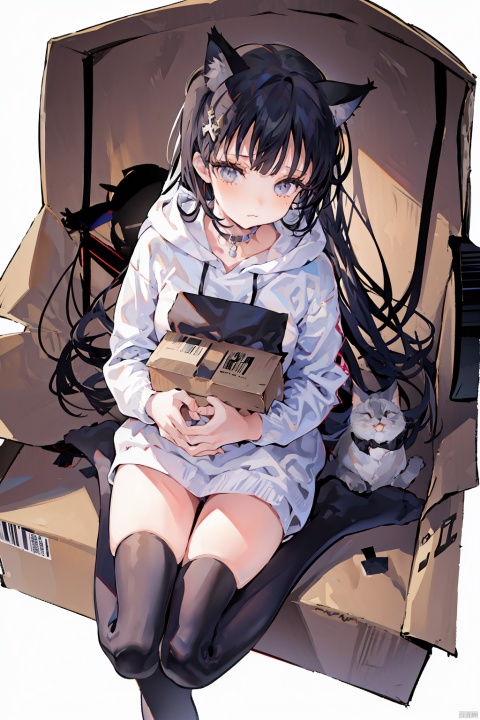  1girl,solo,cat girl,blunt bangs,hair ornament,(:3),long hair,Hoodies_Cat pattern,cat_thighhighs,from above,Sitting in a cardboard box,Cats and cats cuddle in cardboard boxes,