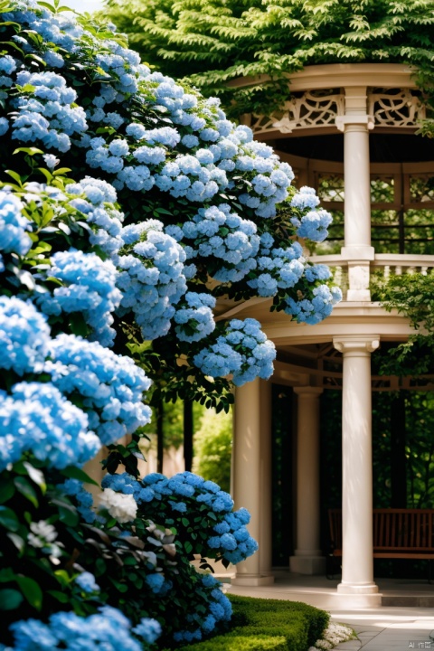 (Plumbago:1.05),Confederate Jasmine,Garden Pavilion,