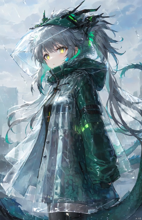  (masterpiece), (best quality), sci-fi girl, (disheveled hair), very long grey blue hair, twintails, mignon, detailed cute eyes, (transparent raincoat), (transparent plastic cloak), long cyber hooded jacket, sky Dragon,red led, green led, yellow led, Oriental Dragon