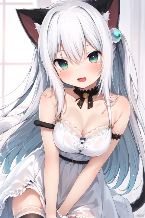  1girl, solo, nsfw, long hair, breasts, looking at viewer, blush, bangs,  large breasts, thighhighs, dress, animal ears, cleavage, hair between eyes, bare shoulders,  White eyes, medium breasts, collarbone, tail, ass, cat ears, tears, white thighhighs, cat tail, animal ear fluff, saliva, cat girl, all fours, drooling,  White  dress, tail raised