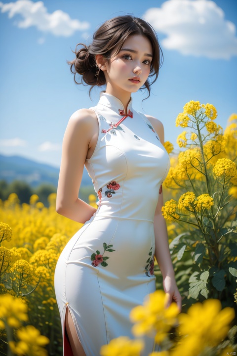 A beautiful woman standing in a blooming rapeseed field, his big eyes like Carslan,wearing a white crane qipao, the skirt fluttering gently.      Surrounded by golden rapeseed flowers, with gently rolling hills in the distance, the sky is a deep blue with a few white clouds leisurely drifting by.      High-definition photo of the most beautiful artwork in the world featuring a lady in white and red dress standing in a sea of golden rapeseed flowers, smiling, red qipao, nostalgia, sexy, the wind messed up her hair,dramatic oil painting by Ed Blinkey, Atey Ghailan, Studio Ghibli, by Jeremy Mann, Greg Manchess, Antonio Moro, trending on ArtStation, trending on CGSociety, Intricate, High Detail, Sharp focus, photorealistic painting art by midjourney and greg rutkowski.     , Light master 4k