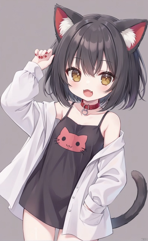 Girl, girl, black hair, short hair, cat ears, brown eyes, open mouth, show cute fangs, show fangs, sell cute, four, head up, red collar, gray tail, oversized shirt, cute background