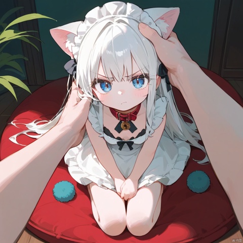  score_9,score_8_up,score_7_up,1girl,solo,cat ears,white hair,bangs,long hair,(blue eyes:1.2),long_eyelashes,in summer,loli,small_breasts,fair_skin,(a hand on girl head:1.2),,animal hands,collar,pov,(white maid dress),(full shot),indoors,kneeling on cushion,disgust,
