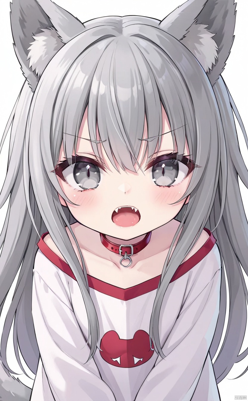  grossissementdedeuxcentsoixantepourcent_portrait,1girl,loli,gray hair,very_long_hair,animal_ears,gray_eye,hissed,mouth_open,cute fangs out,Fangs out,angry,on_all_four,looking_up,red_collar,gray_tail,oversized_shirt,simple_background,white_background,