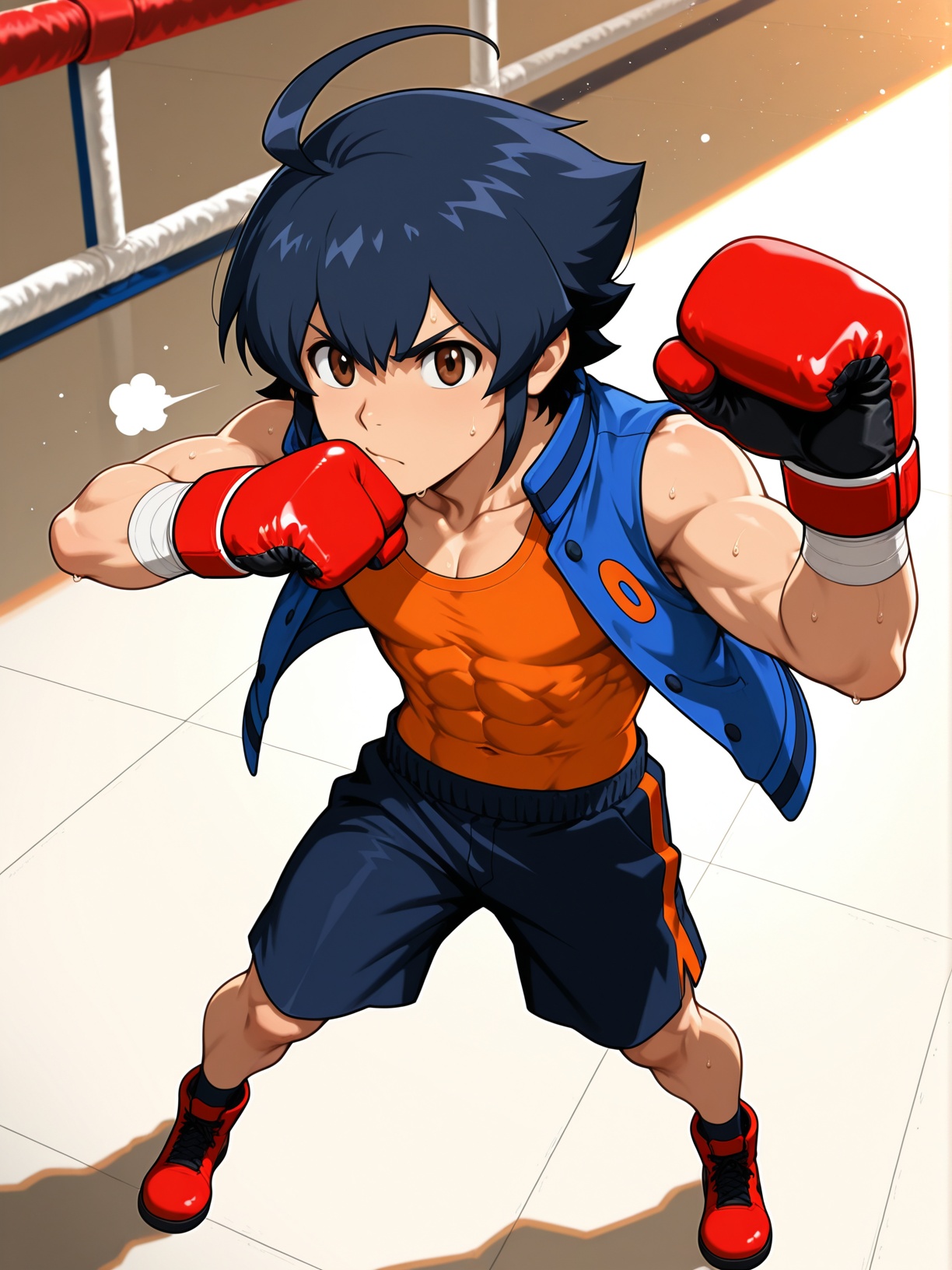(score_9,  score_8_up),  source_anime on Tensor.Art