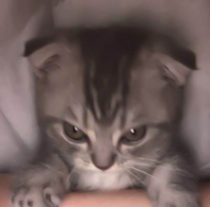 AI generated image on Tensor.Art