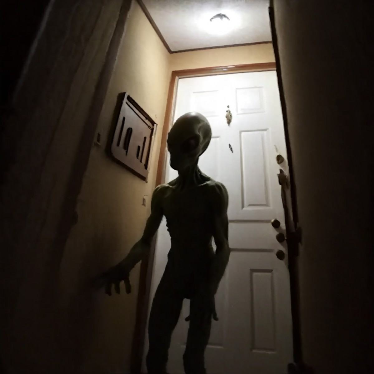 1alien,  hidden behind door,  vhslora on Tensor.Art