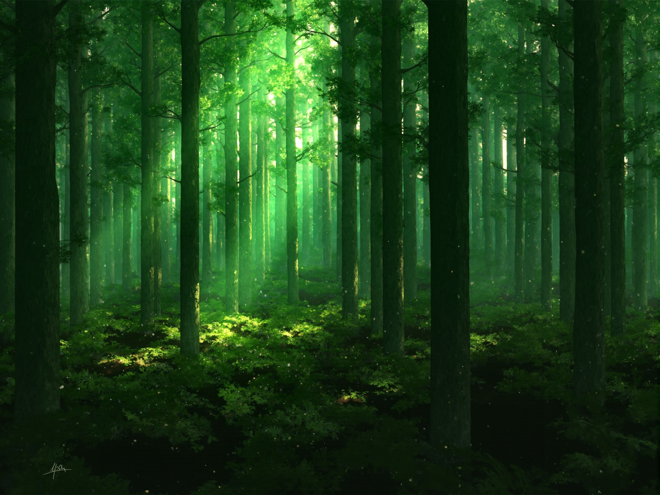 A digital illustration captures the essence of a dense, primeval forest at the break of dawn. The forest is a symphony of greens, with the towering canopy of ancient trees filtering the first light of day into a soft, ethereal glow. The forest floor is a mosaic of moss and ferns, and the air is filled with the sweet scent of damp earth and the gentle hum of early morning insects.<lora:S_BLACKGROUD_:1>