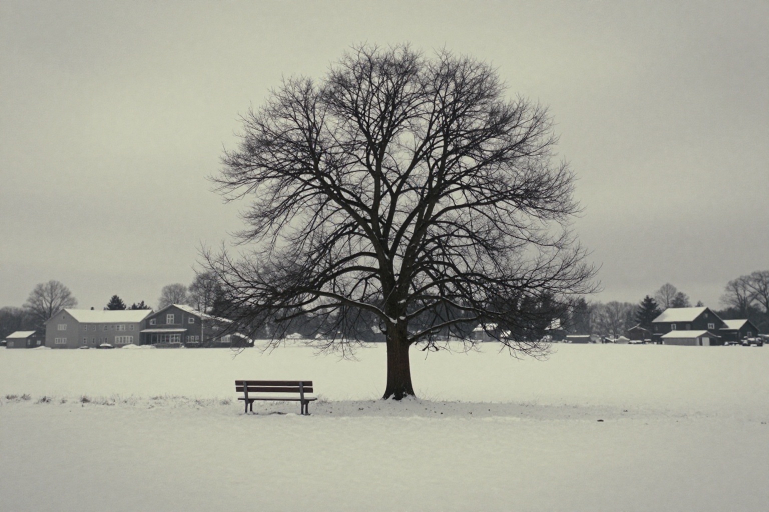 cinematic film still of photorealistic:1,  Cinematic Achromatic style a lone tree in a snowy field with a bench,  cinemati...