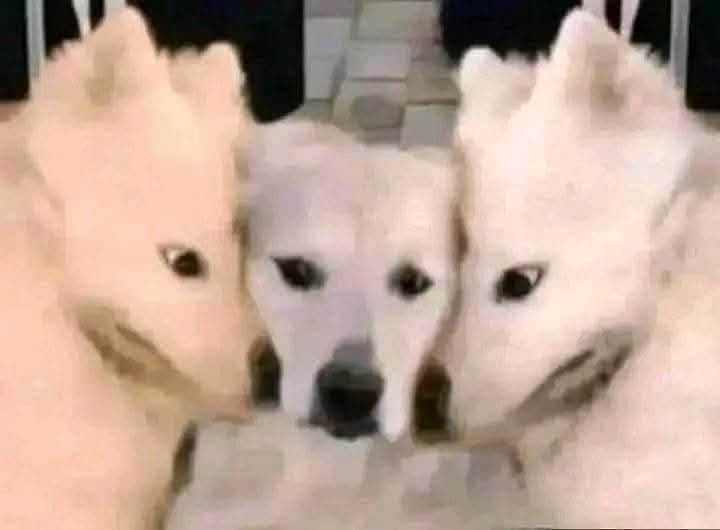 AI generated image on Tensor.Art