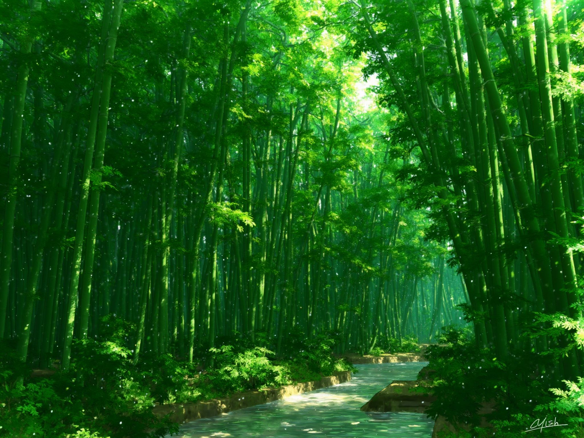 A digital illustration of a dense bamboo forest, where the slender green stalks rise high, creating a canopy that filters the sunlight into a dappled pattern on the forest floor. A gentle breeze whispers through the leaves, and a small brook meanders nearby, its clear waters reflecting the verdant surroundings. The scene is one of tranquility and growth. <lora:S_BLACKGROUD_:1>
