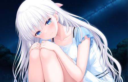 <lora:Naruse_Shiroha_-_Summer_pockets_IL:1>,<lora:StS-Illustrious-Detail-Slider-v1.0:4>,masterpiece, best quality, highres, newest, scenery, 1girl, solo, official style,Shiroha,very long hair,white hair,hair ribbon,pink ribbon,blue eyes,bangs,hair between eyes,Casual Shiroha,dress,white dress,collarbone,short sleeves,blush, looking at viewer,affectionate,detailed eyes,dark background,night, star (sky),starry sky,sad smile, half-closed eyes,knees up,hands on own knees,head tilt,knees to chest,four fingers,