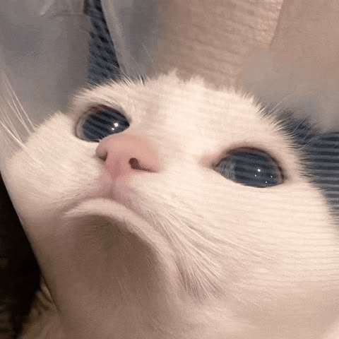AI generated image on Tensor.Art